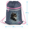 Мешок для обуви 1 отд. 1 карм. 47x37см Berlingo Meow friend светоотражающая полоса [MS1045] 3