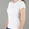 evo_fem_02