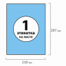 Этикетки самоклеящияся А4  1x210х297мм ( 50л.) Brauberg голубые [127510] 4