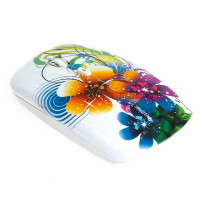 Мышь беспроводная SmartBuy 327AG "Flowers" (USB, 4кн+Roll, оптическая) [SBM-327AG-FL-FC]