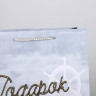 Пакет подарочный бумажный 23x27x8 см Доступные Радости Present for you [6582740] 3