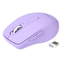 Мышь беспроводная SmartBuy 611AG (USB, 6кн+Roll, оптическая, бесшумная) [SBM-611AG-V]