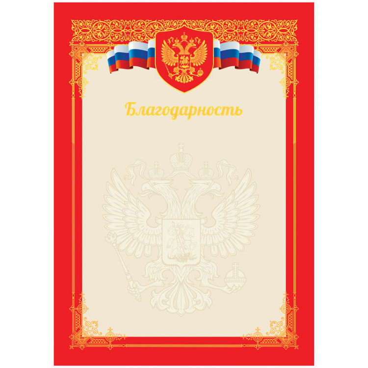 Благодарность А4, 190 г/м2, мелованный картон ArtSpace тиснение фольгой [BBLF_6513]