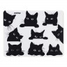 smartbuy SBMP-CAT-01 001