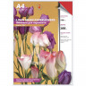 Realist 4553 001 Realist 4553 001